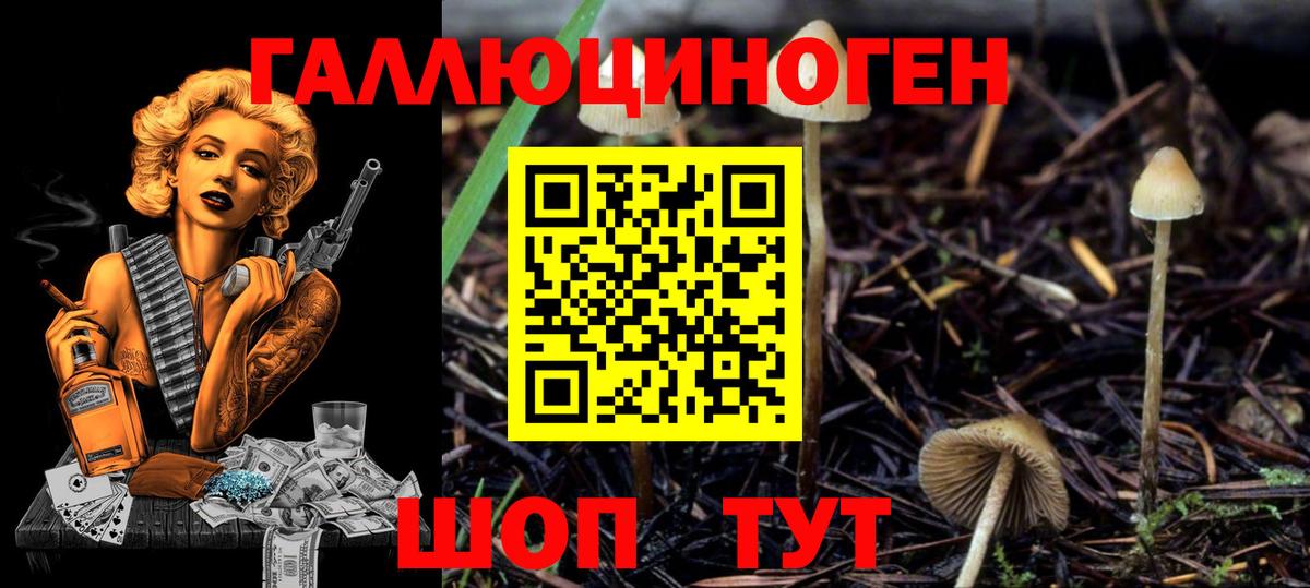 Минусинск  Псилоцибиновые грибы ЛСД  дарнет шоп  Вход с VPN 
